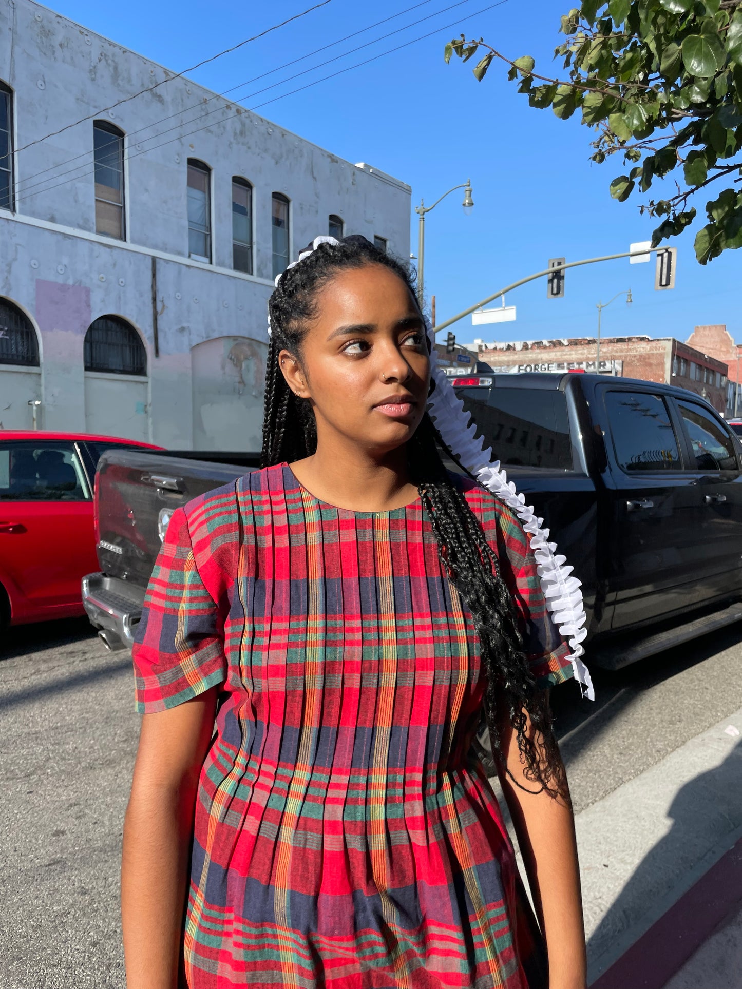 Red Red Plaid Dress (L)