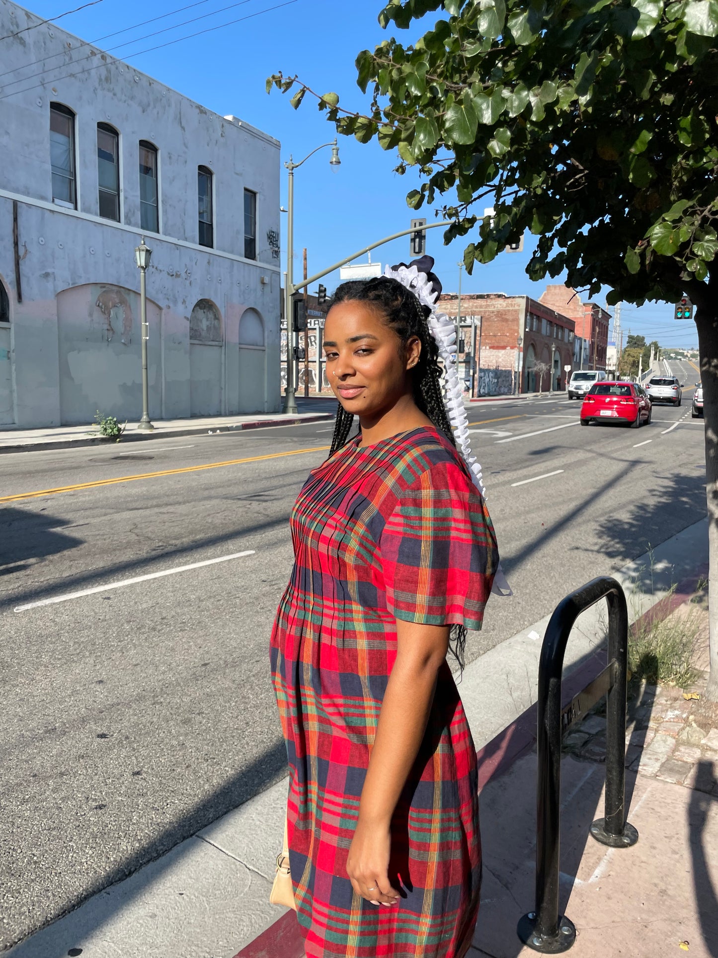 Red Red Plaid Dress (L)