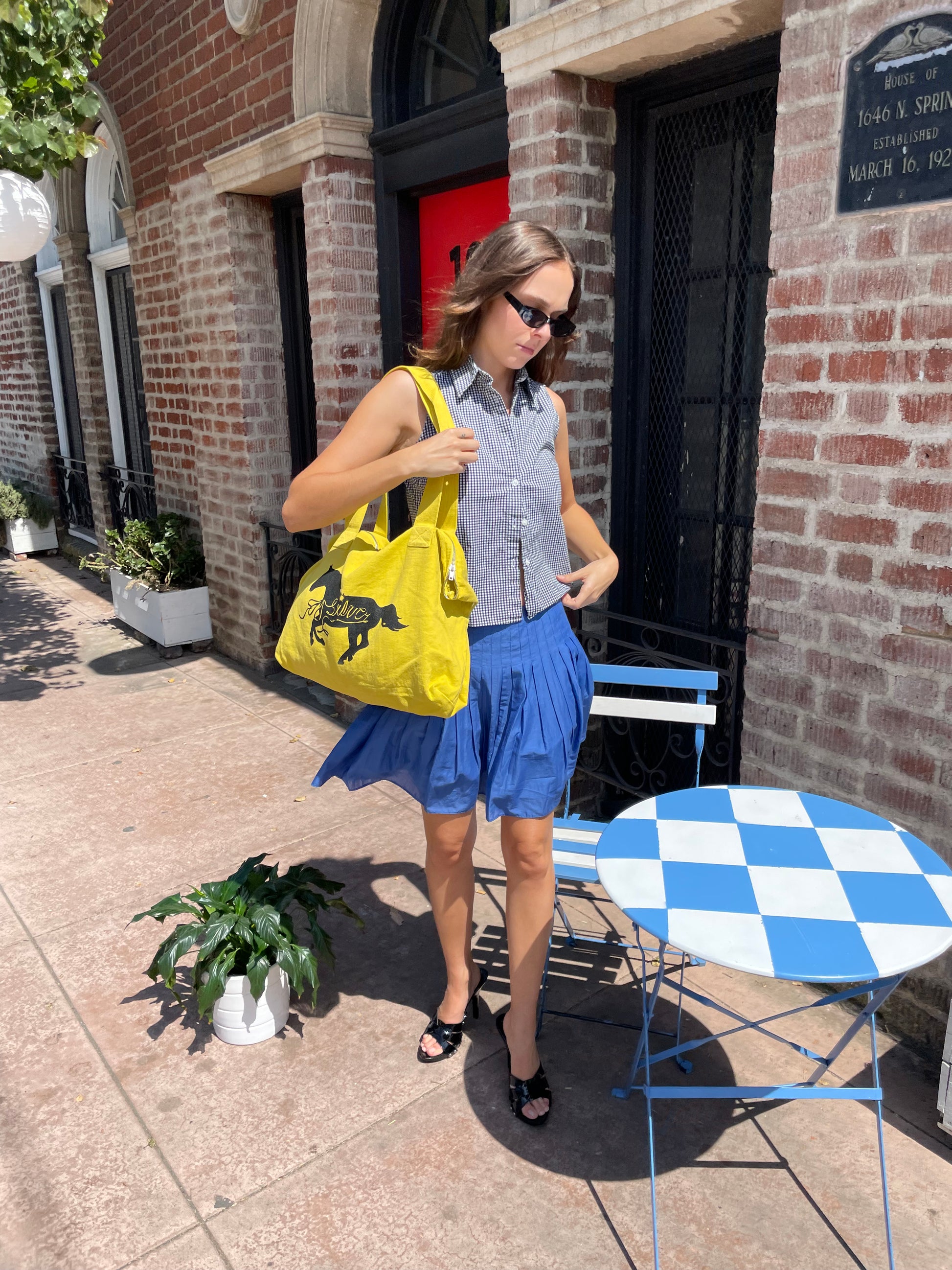 girl in blue skirt and checkered top