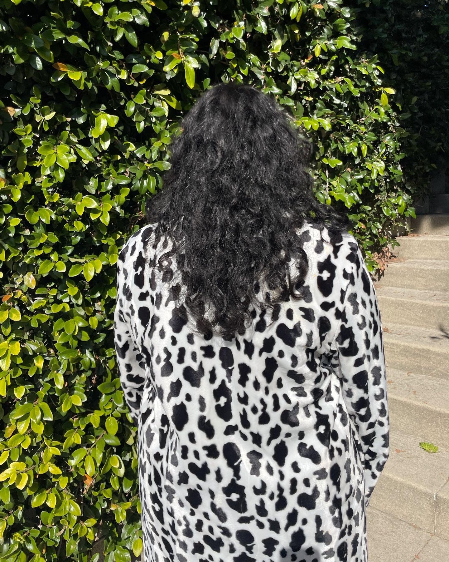 back of girl wearing cow print coat and white pants